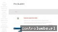 Screenshot strony www.pro-budart.pl