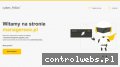 Screenshot strony managerseo.pl