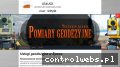 Screenshot strony geodeta-zywiec.pl