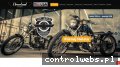 Screenshot strony www.ccw.com.pl