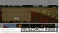 Screenshot strony rosacwik-sklep.pl