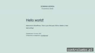 Projektowanie stron www - Borsa.pl