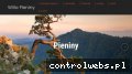 Screenshot strony www.willapieniny.com