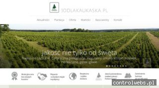 Sprzedaż hurtowa Jodły kaukaskiej