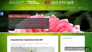 Kwiaty Kraśnik TOP-DEKORATOR.PL-rośliny ozdobne w lubelskiem