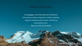 Pozycjonowanie Stron