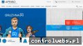Screenshot strony afriso.pl