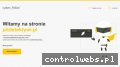 Screenshot strony www.pitdetektywi.pl