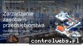 Screenshot strony zarzadzanie-systemami.it