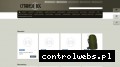 Screenshot strony www.salonasg.pl