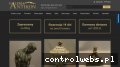 Screenshot strony antikon.pl