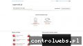 Screenshot strony www.supervolt.pl