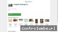 Screenshot strony forexandfreedom.pl