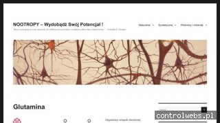 nootropy.wordpress.com - blog o suplementach