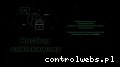 Screenshot strony busyarmar.pl