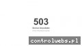 Screenshot strony openfrancetour.pl