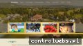 Screenshot strony www.cwsostrzyce.com
