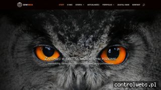SowiWeb - Owl You Need