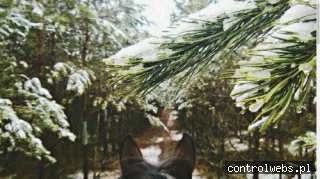 Gospodarstwo Agroturystyczne Pan Tadeusz