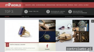 Endoskop techniczny - IT Concepts