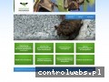 Screenshot strony www.monitoring-nietoperzy.com