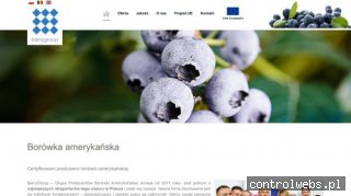 BERRYGROUP świeże owoce borówki amerykańskiej