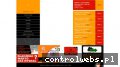 Screenshot strony www.professionails.pl