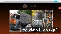 Screenshot strony www.mastelix.pl
