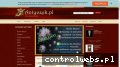 Screenshot strony antyczek.pl