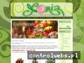 Screenshot strony kwiaciarniasonia.com