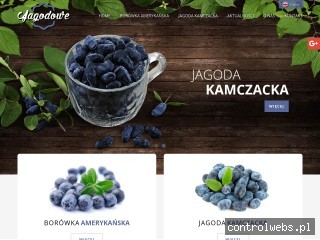JAGODOWE borówka amerykańska