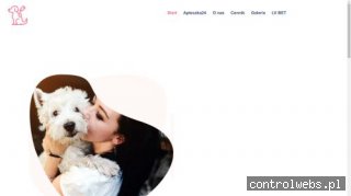 Groomer, fryzjer psi