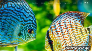 Blog akwarystyczny i atlas ryb - Podwodne Królestwo