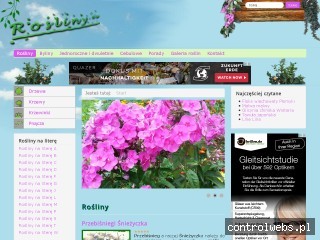 Rośliny do ogrodów