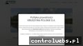 Screenshot strony kruszywapolskie.pl