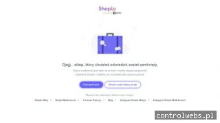 SECONDS srebrna łyżeczka