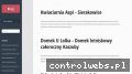 Screenshot strony wgwenergy.pl