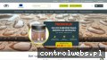 Screenshot strony dlh.pl