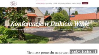 DZIKIE WINO noclegi łódź