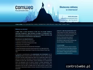 reklama w internecie