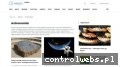 Screenshot strony www.astronomia.wortale.net
