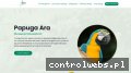 Screenshot strony www.arazoo.pl