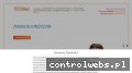 Screenshot strony meskiezabiegi.pl