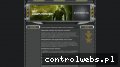 Screenshot strony www.gry.wirtualne.org