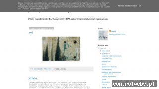 blog pamiętnik borderlajna