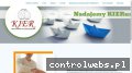 Screenshot strony kierbadania.pl