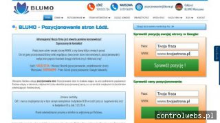Blumo Łódź - pozycjonowanie stron internetowych