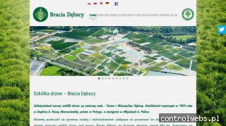BRACIA DĘBSCY tuje producent