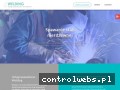 Screenshot strony welding-uslugispawalnicze.pl