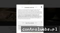 Screenshot strony sklep.arlekin.design